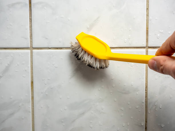 Best Office Mold Removal Services  in Montgomery, MN