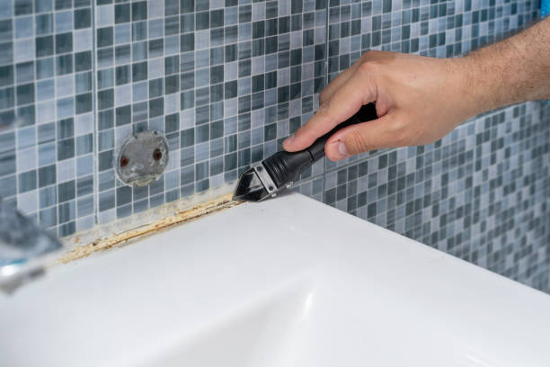 Best Emergency Mold Removal  in Montgomery, MN